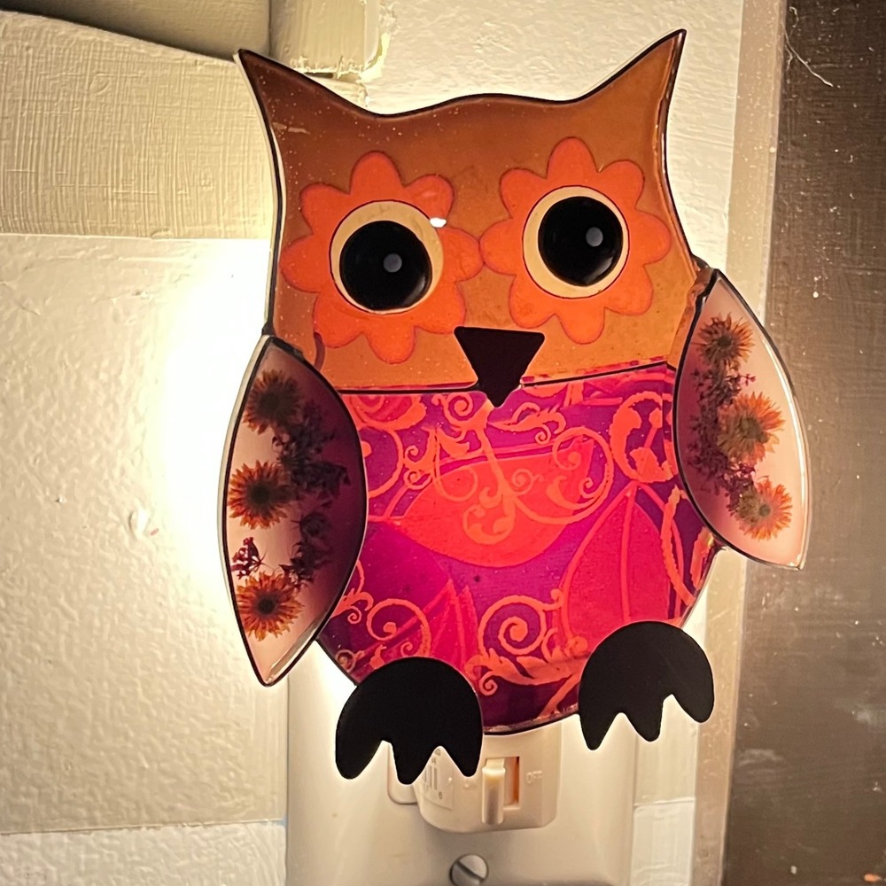 Yellow Owl With Dried Flowers Night Light by Ganz On‎ Off Switch
